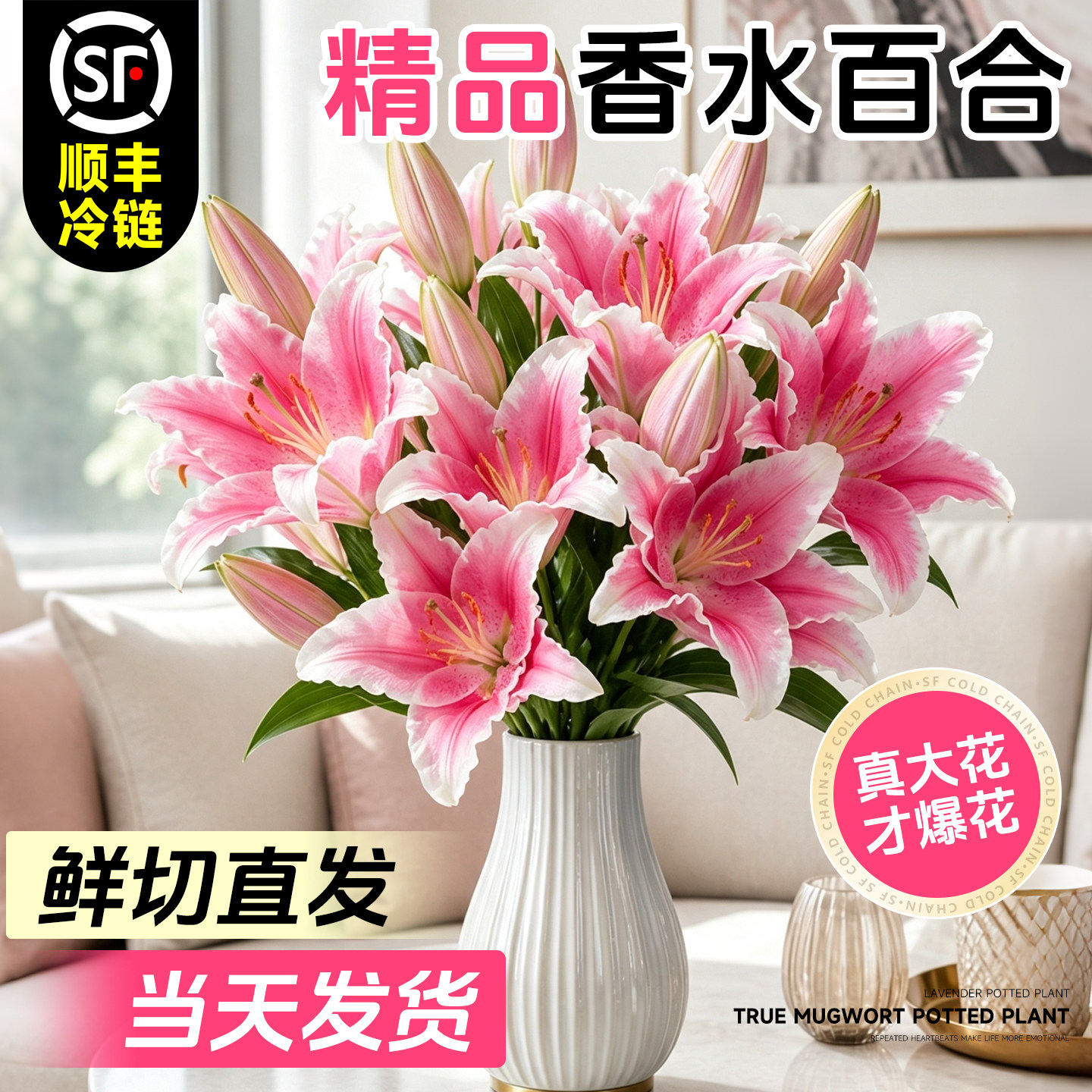 香水百合鲜花鲜切花卉云南直发教师节礼物花束家用插花顺丰次日达