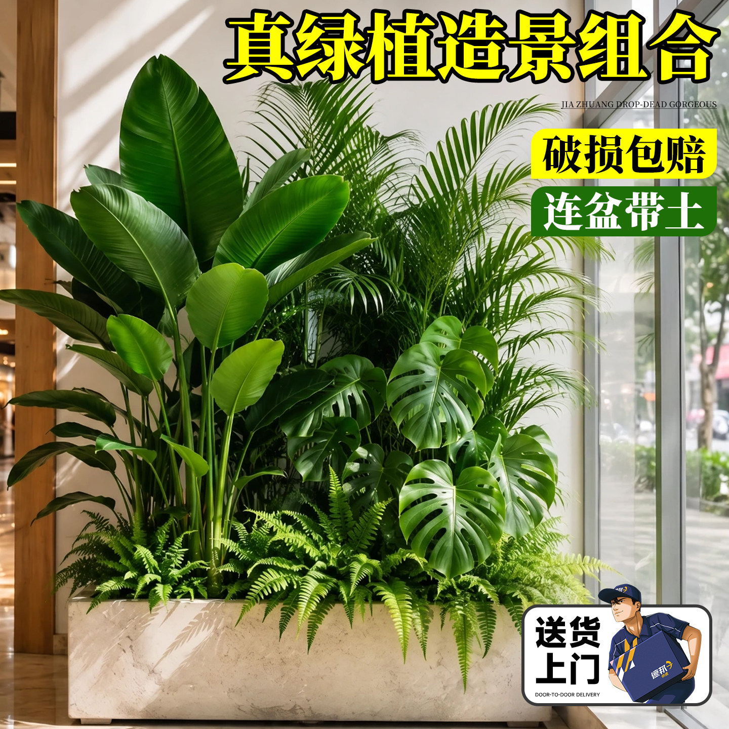 【设计师专研】真绿植造景组合