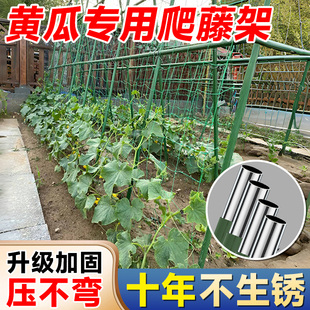 黄瓜爬藤架葡萄蔬菜西瓜爬藤架阳台西红柿豆角杆楼顶种菜园搭架子