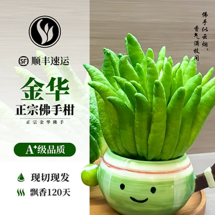 正宗金华佛手柑超级佛手瓜鲜果切枝闻香室内观赏食用摆件天然新鲜