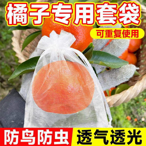 加密橘子通用套袋防鸟防虫防果蝇