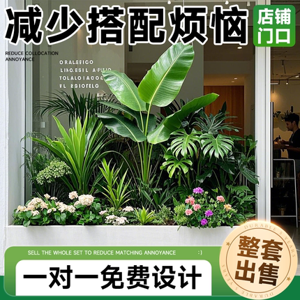 仿真绿植花槽造景隔断组合花箱假植物室内橱窗下落地景观装饰摆件