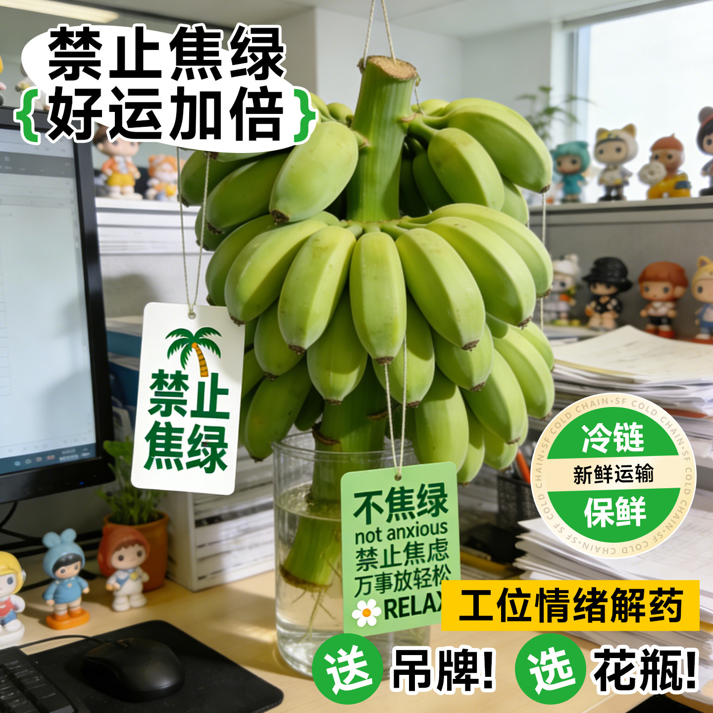 禁止焦虑香蕉可食用水培植物办公室绿植桌面好养水果盆栽芭蕉绿植
