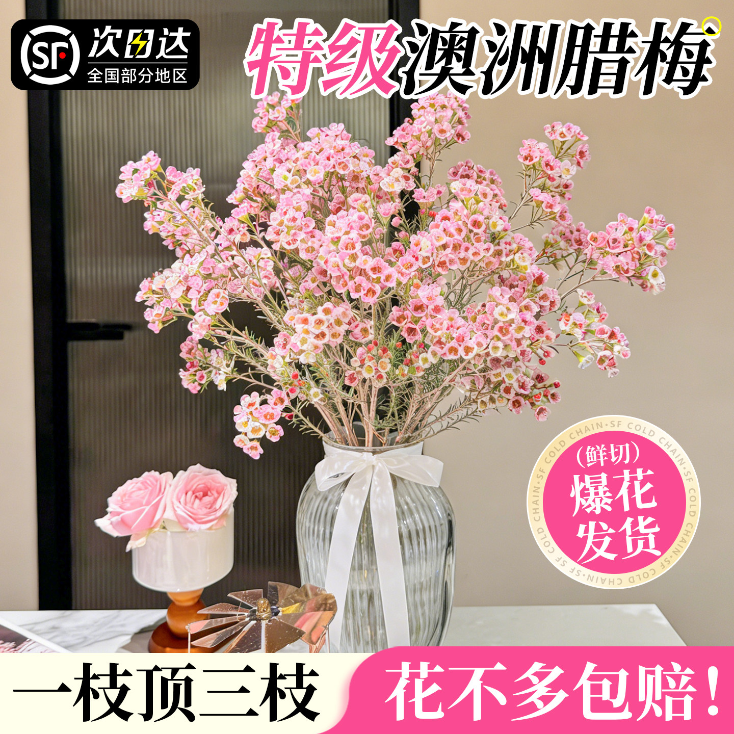 澳洲腊梅鲜花水培粉色腊梅鲜切花真花束云南基地直发室内花束摆件,鲜花速递/花卉仿真/绿植园艺,花材,淘宝优惠券,粉丝福利购,淘宝优惠卷