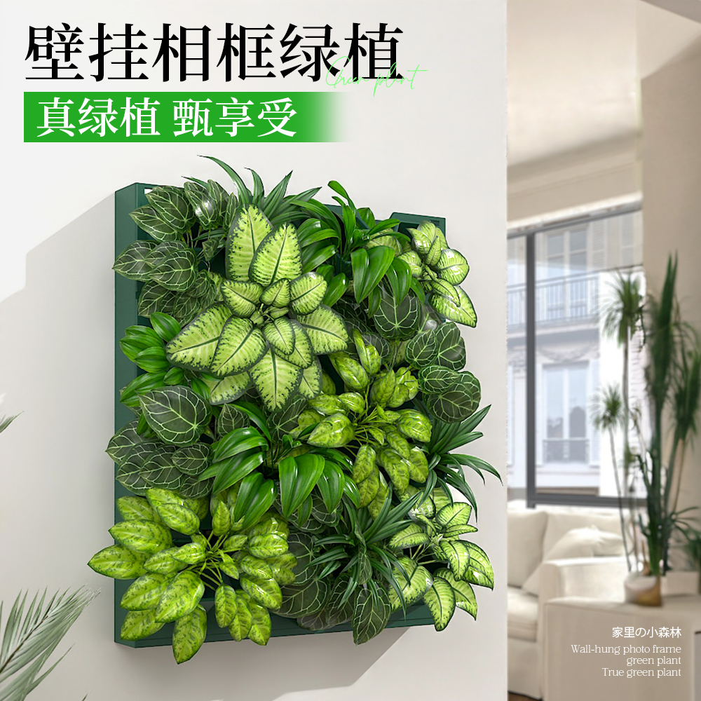 卧室绿植墙壁迷你水培植物客厅绿植小盆栽吊兰吊篮植物墙挂件装饰