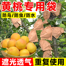 黄桃专用袋包桃子纸袋水果套袋防虫防鸟防水神器苹果梨子石榴纸袋