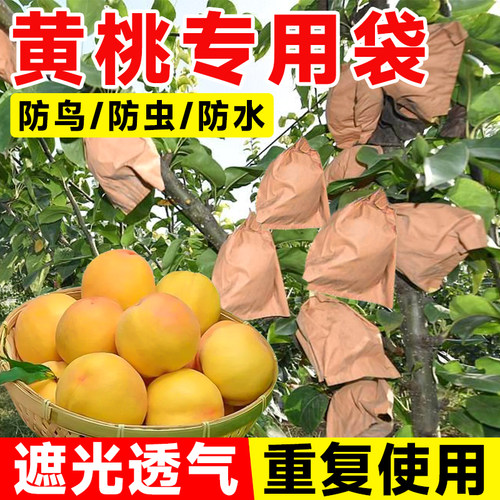 黄桃专用袋防虫防鸟防水水果套袋