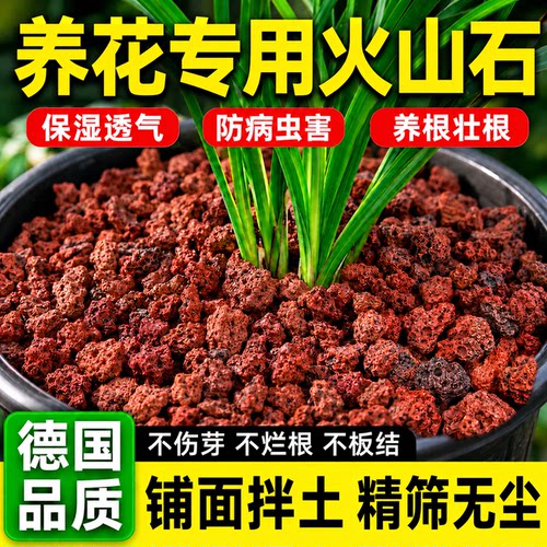 【德国品质】花卉专用火山石颗粒