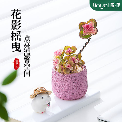 【锦绣牡丹】轻奢高级感小摆件
