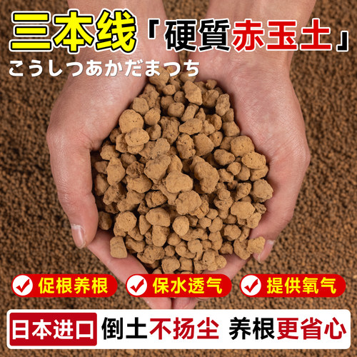 【日本进口三本线】赤玉土