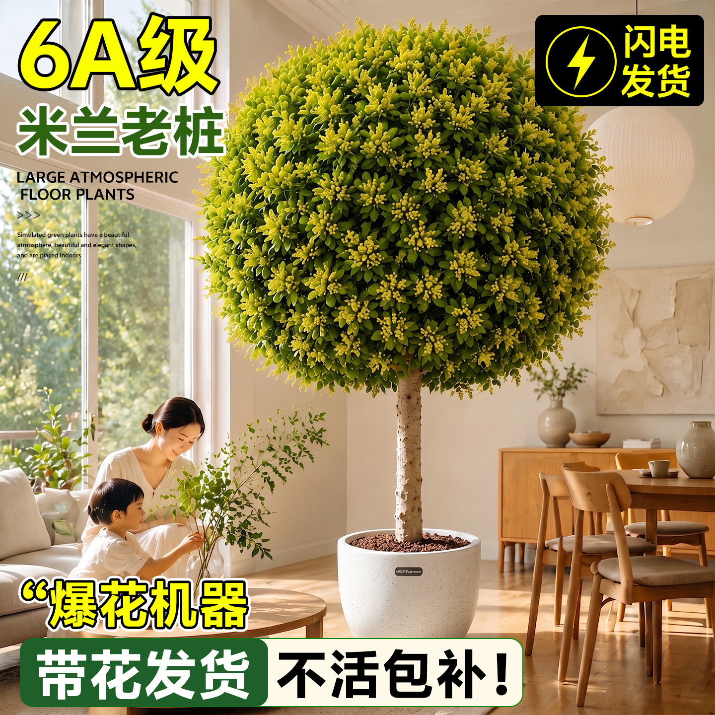 【爆花机器】6A级米兰不活包补图片