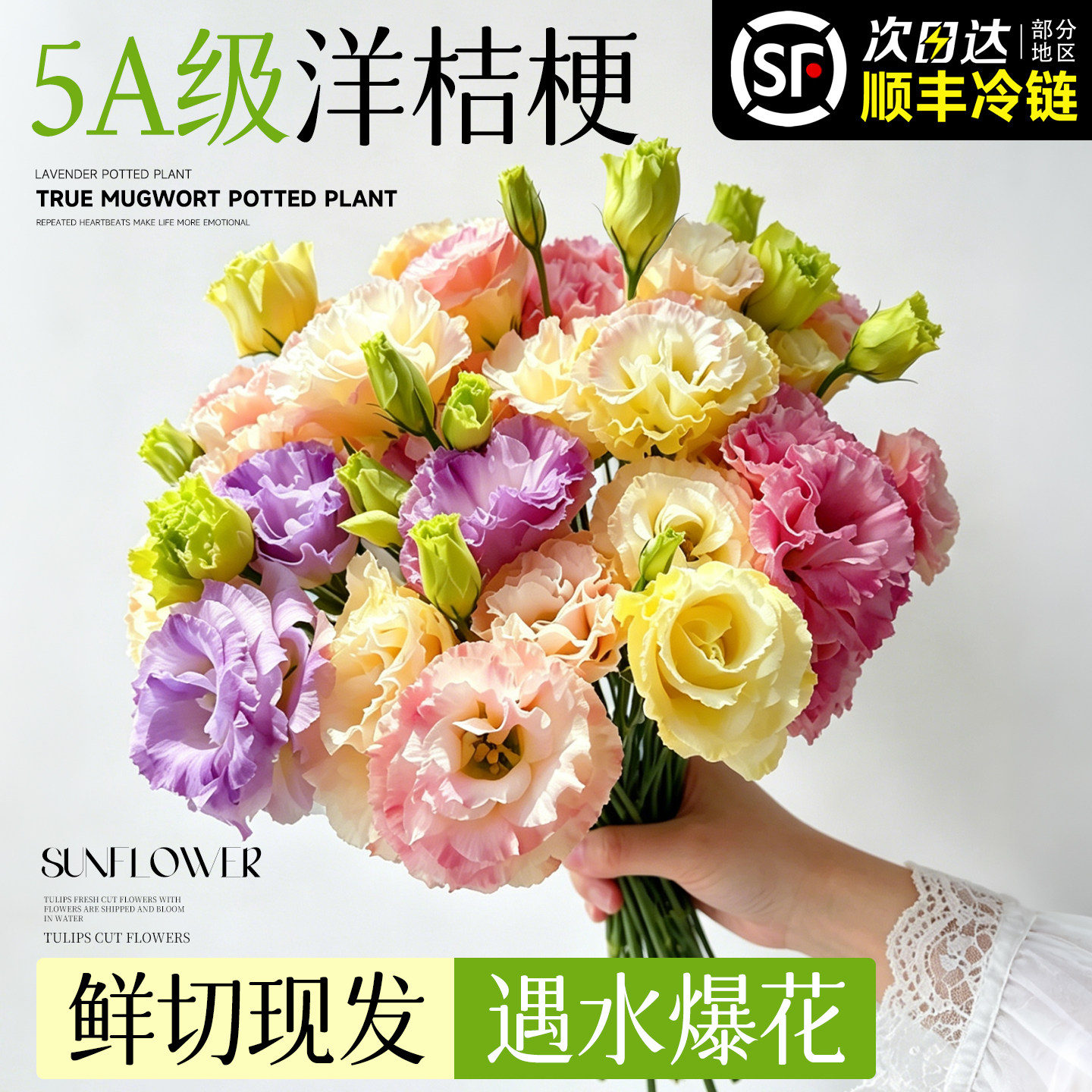 洋桔梗鲜花花苗插花云南直发水养鲜切花花束客厅室内花瓶插花捧花