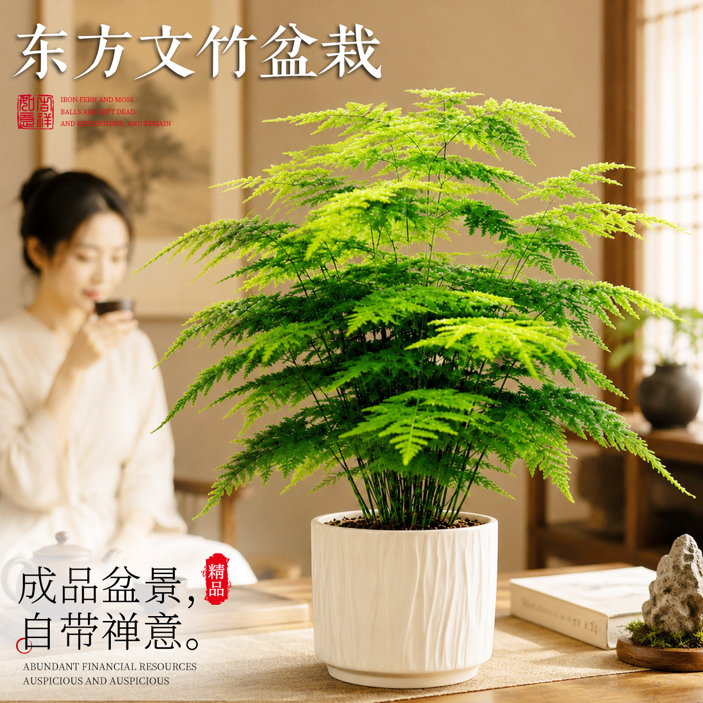 文竹盆栽室内大号办公室桌面绿植图片