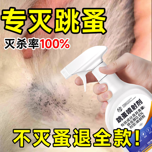 【100%灭蚤】跳蚤杀虫剂人宠安心