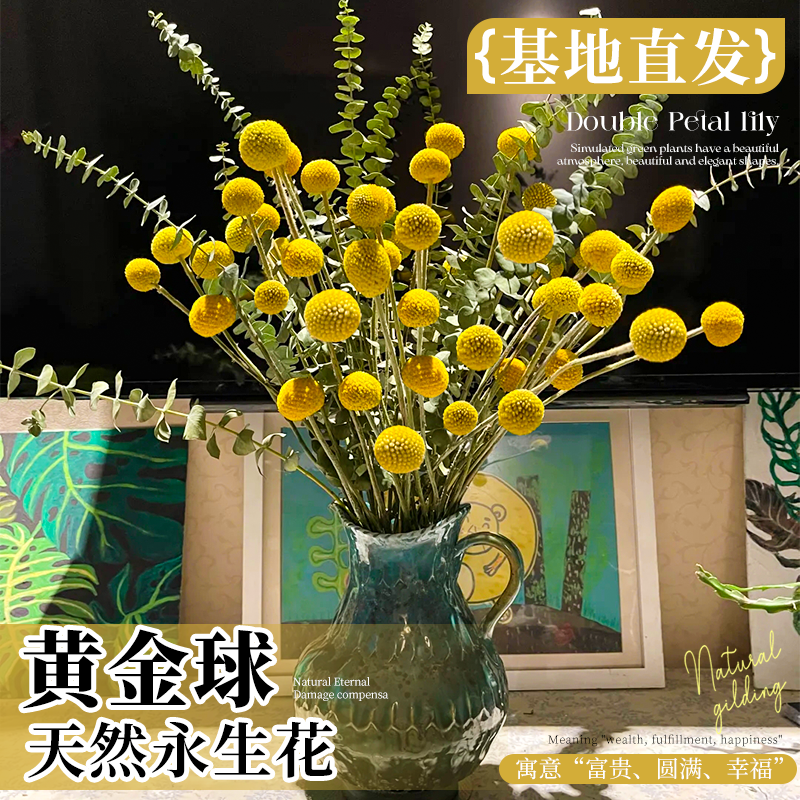 黄金球天然永生花高级感干花束客厅摆设鲜花云南基地直发植物真花