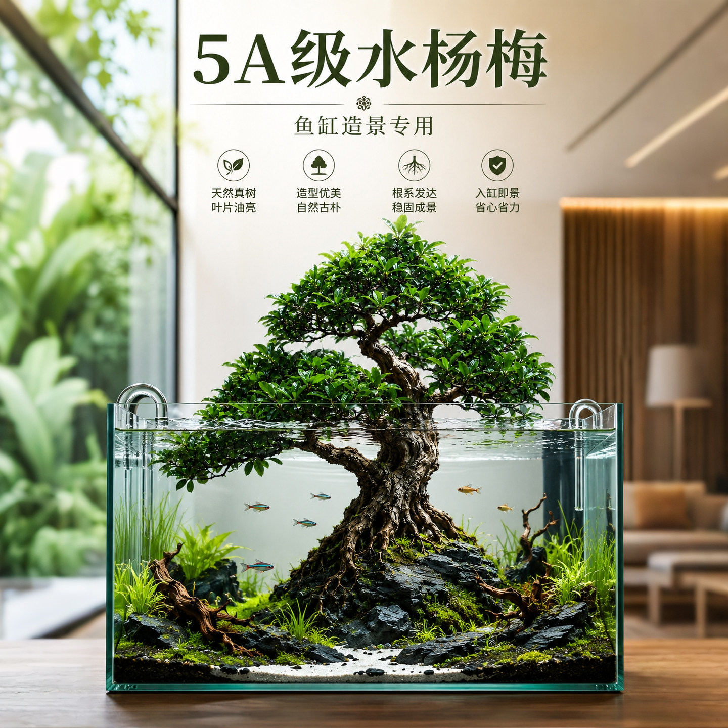 水杨梅植物老桩矮绿植水培水草原生缸室内室外飘枝溪流缸鱼缸造景