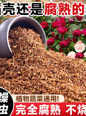 【干燥无虫】稻壳发酵完全腐熟