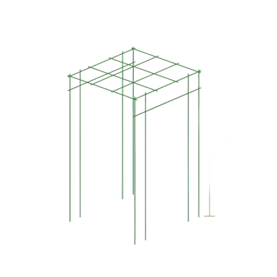 黄瓜爬藤架葡萄豆角爬藤网免安装