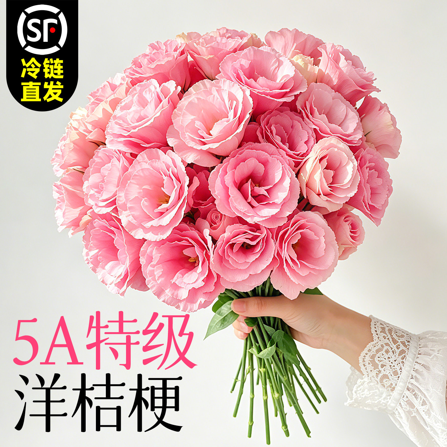 洋桔梗鲜花花苗插花云南直发水养鲜切花花束客厅室内花瓶插花捧花