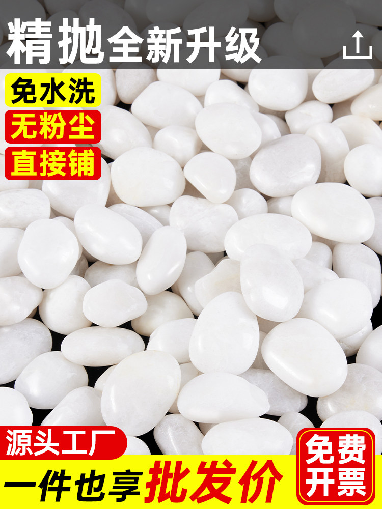 50斤白色鹅卵石子石头天然原石园林庭院铺地鱼缸室内造景装饰