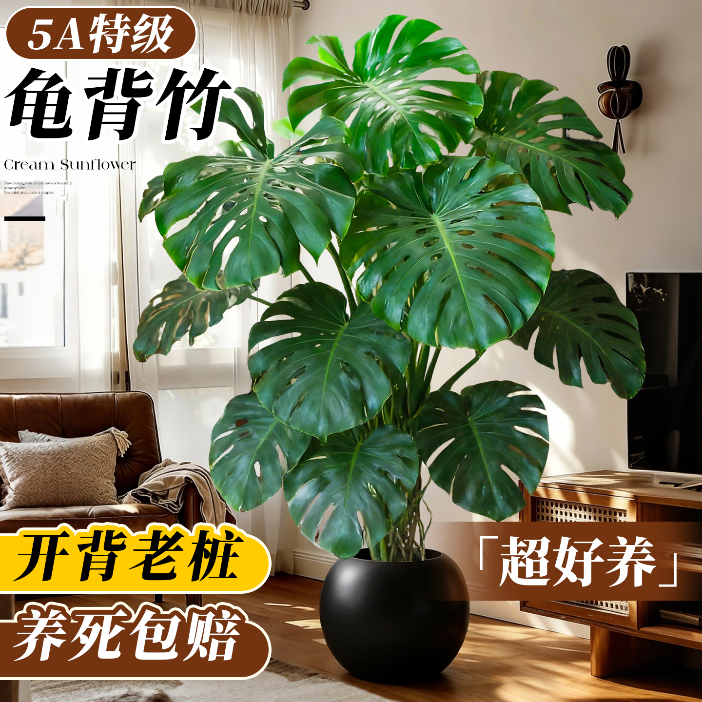 龟背竹客厅大盆栽老桩高级感大型绿植高端室内植物好养精品大叶,鲜花速递/花卉仿真/绿植园艺,大型绿植/成品组合盆栽,淘宝优惠券,粉丝福利购,淘宝优惠卷