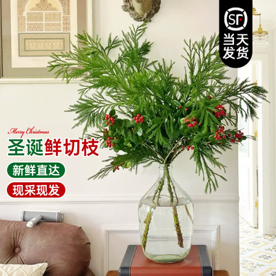 【圣诞鲜切花束】新鲜直达