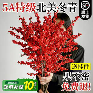 北美冬青红果水培鲜花新年盆栽室内鲜切银柳真花鲜枝年宵花卉水养