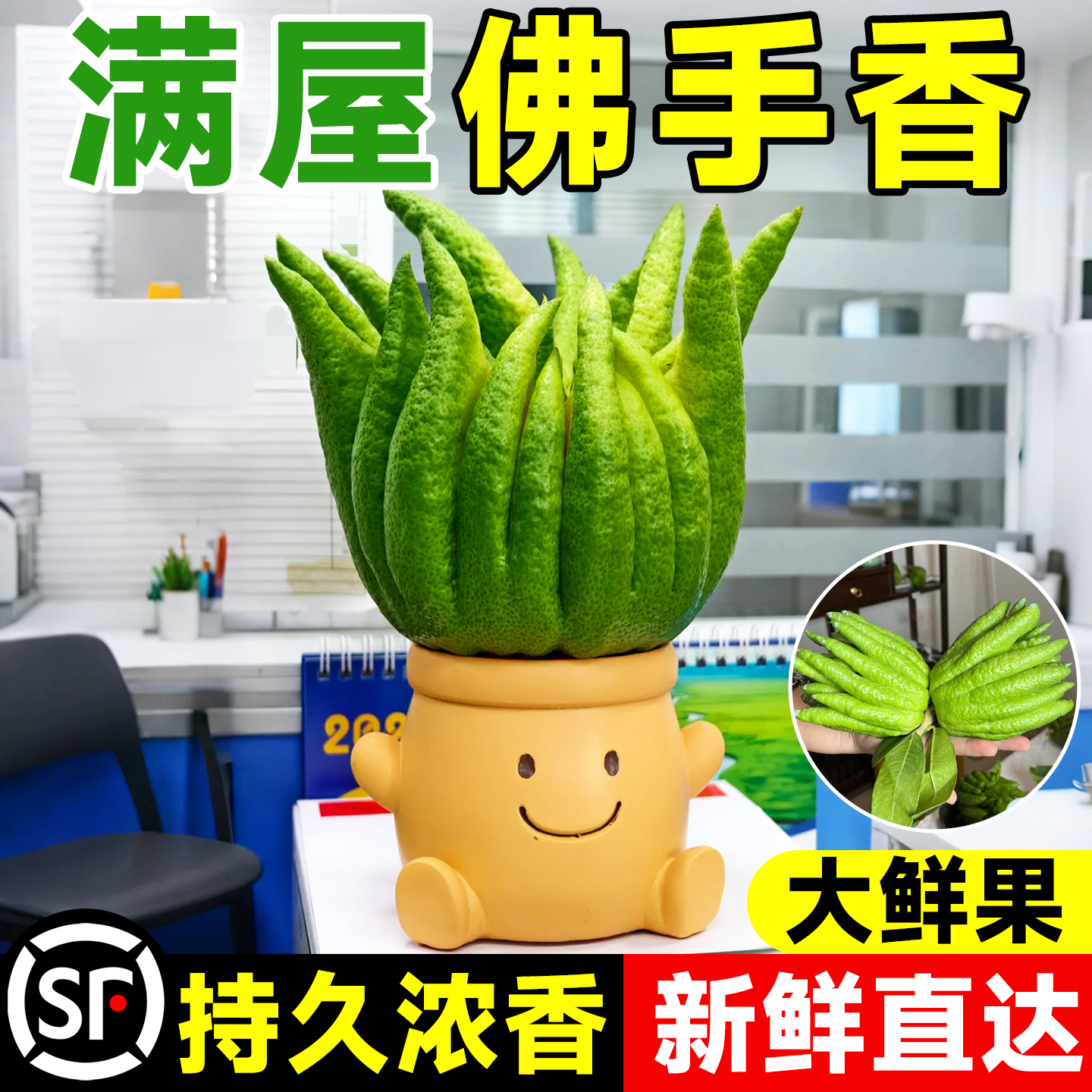 【特级浓香佛手柑】无需催发即香