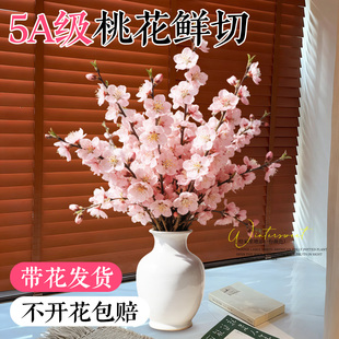 水培植物鲜切桃花枝水养鲜花云南基地直发家用插花干枝室内鲜花卉