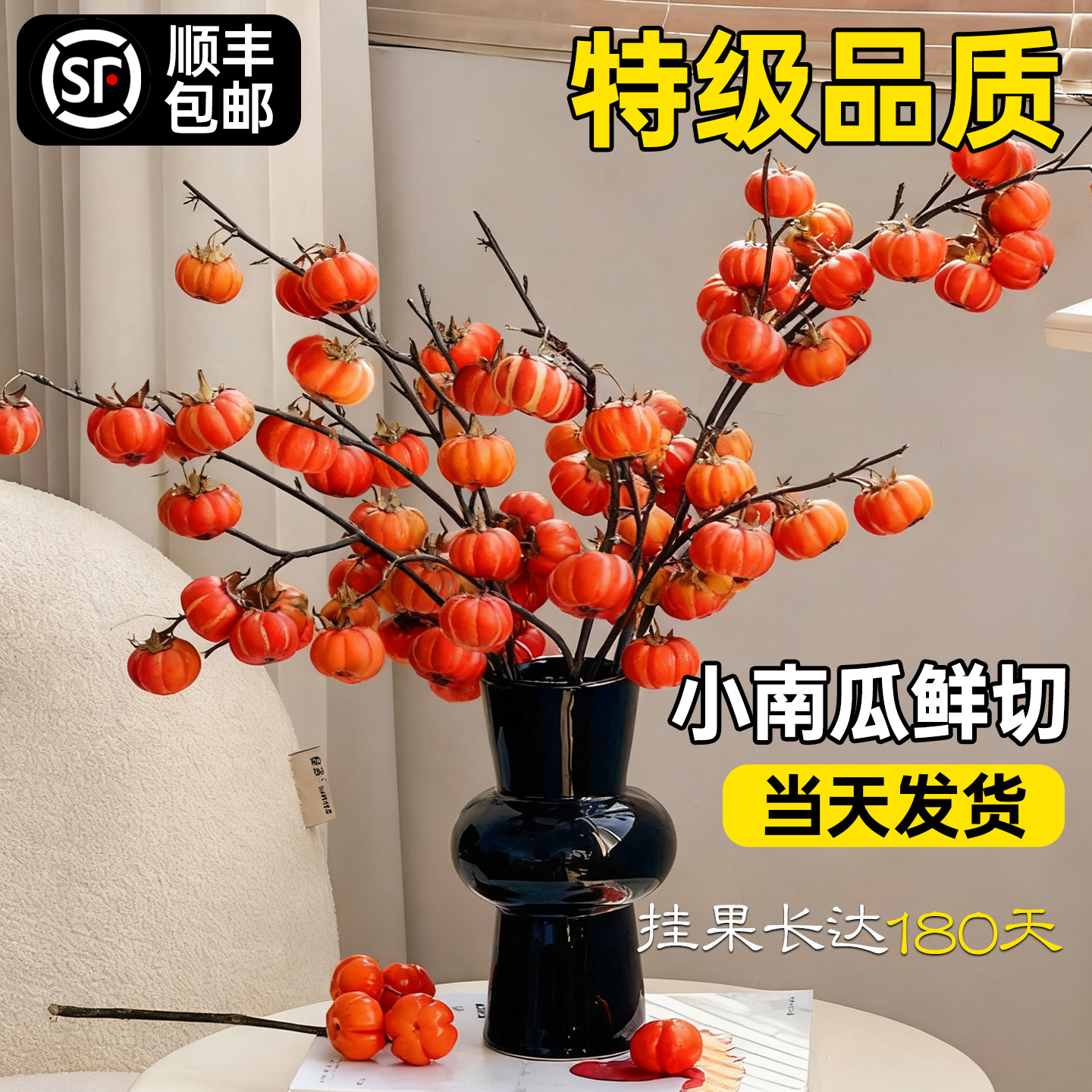 【顺丰包邮】小南瓜鲜花切枝