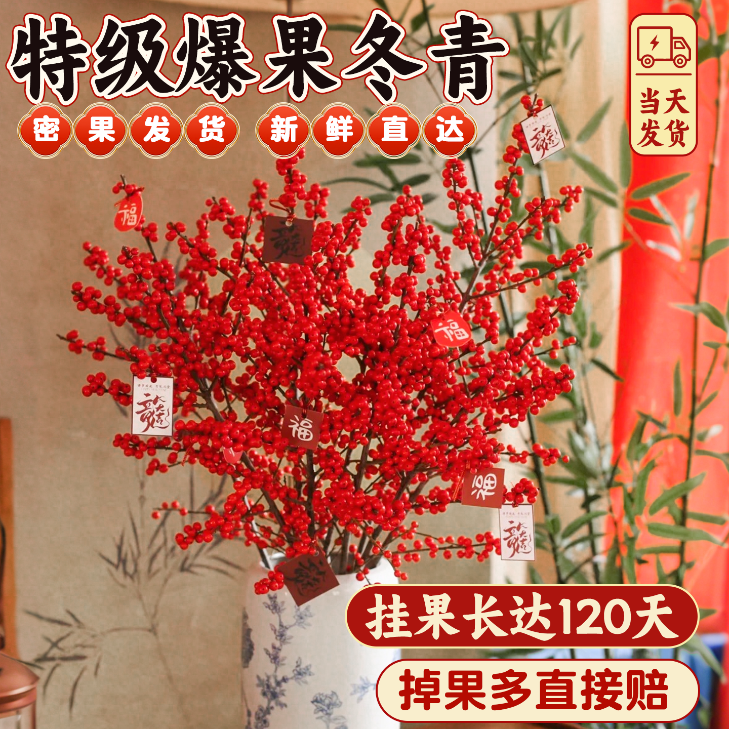 北美冬青红果真花鲜切花新年宵室内家用插花鲜花带果盆栽花卉水养