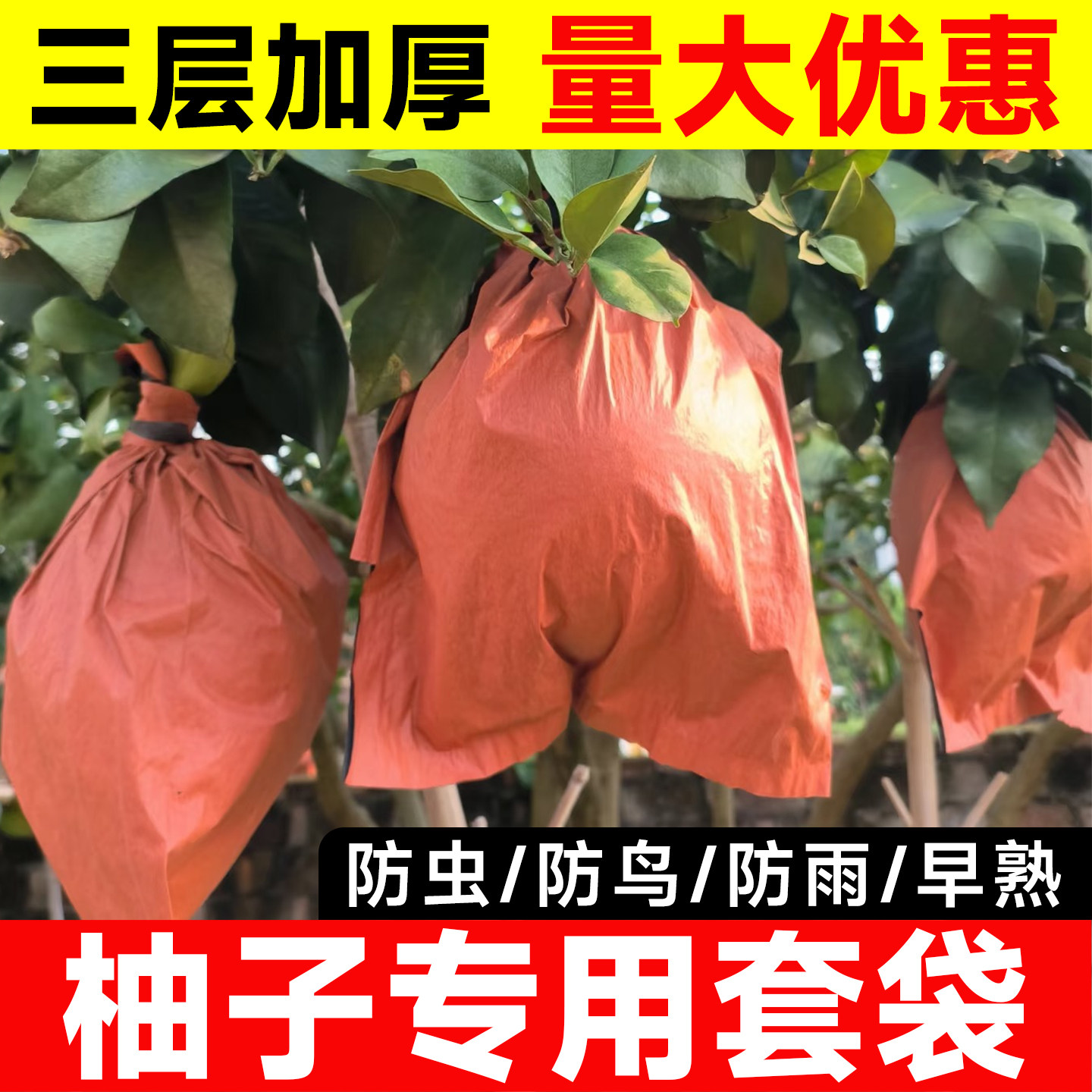 柚子专用套袋大号水果套袋葡萄柚瓜果袋果子防虫防鸟果树果实袋子