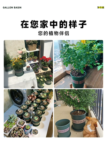 Посадка овощей на балконе, зеленый горный галлонный горшок, 5-галлонный короткий и толстый утолщенный глобальный посадочный ящик третьего поколения, специальный горшок для огорода