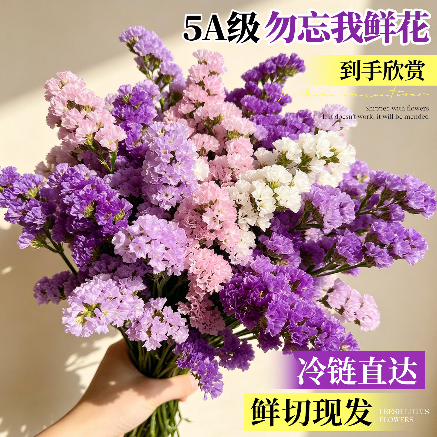 现货满天星勿忘我干n燥花花束真花风干天然鲜花客厅摆花家居装饰
