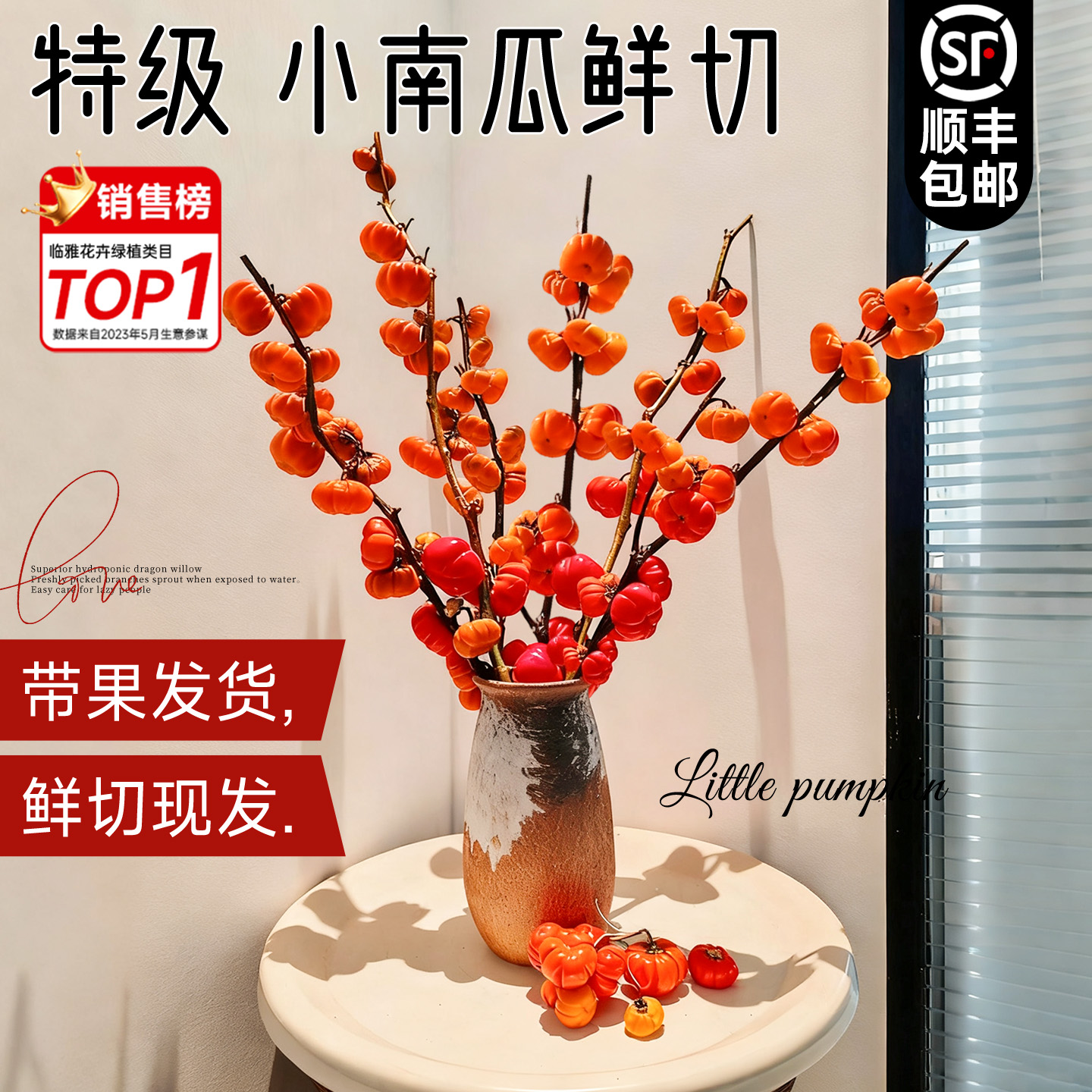 【特级小南瓜鲜切】新鲜直达