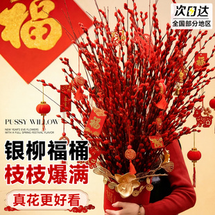 银柳年宵花抱抱桶鲜枝真花2026新年马年福桶diy材料鲜花客厅摆件