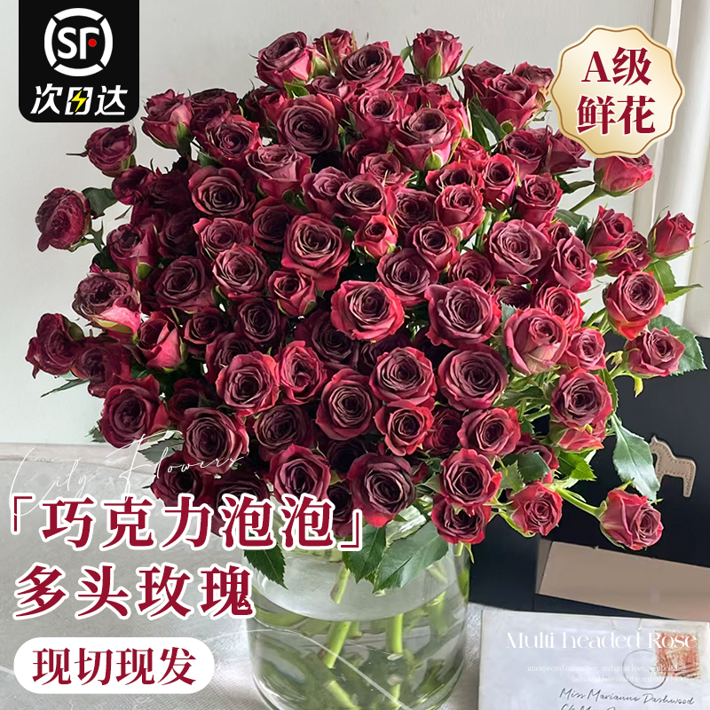 多头小玫瑰鲜切花束云南基地直发