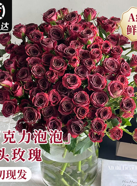 多头小玫瑰鲜切花束云南基地直发巧克力橙色芭比泡泡家用插花水培