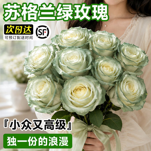【花期超长】苏格兰绿玫瑰鲜花束