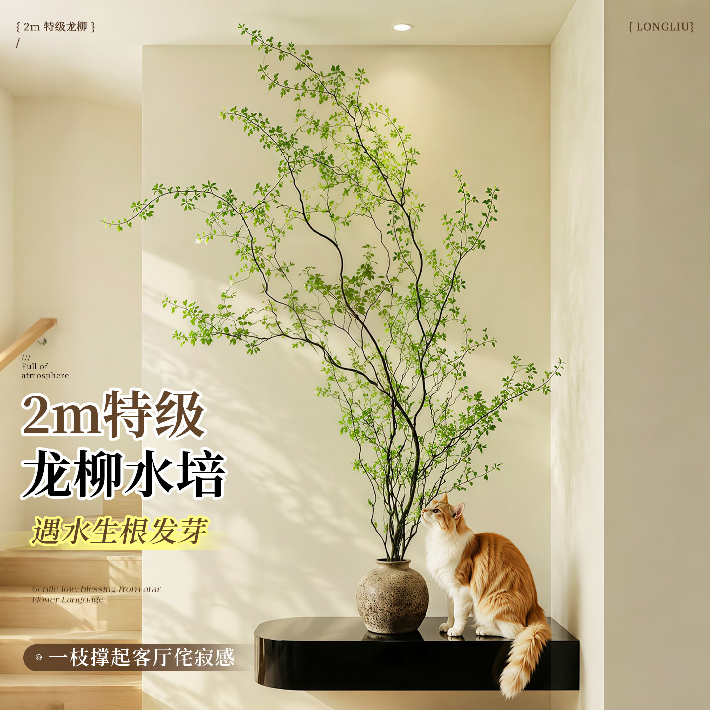 龙柳鲜枝水培绿植物干枝带花苞柳条枝客厅四季花卉室内盆栽好养活