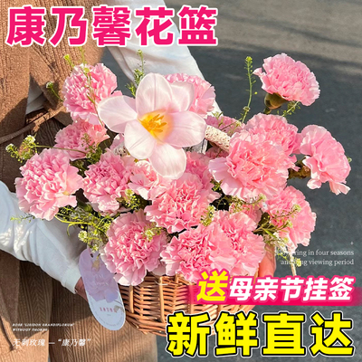 【母亲节预定中】康乃馨鲜花