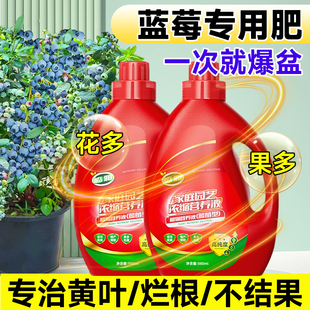 蓝莓专用肥料有机营养液植物盆栽通用型水溶液体肥生根壮苗治黄叶