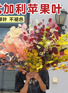干花花束苹果叶尤加利永生花客厅高级感摆设真花风干天然树叶摆件