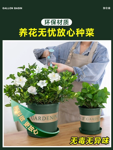 Посадка овощей на балконе, зеленый горный галлонный горшок, 5-галлонный короткий и толстый утолщенный глобальный посадочный ящик третьего поколения, специальный горшок для огорода