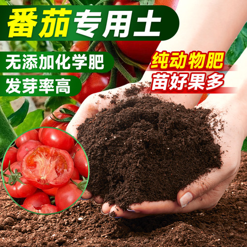 番茄专用土营养土种菜专用土壤