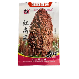 红高粱种籽矮杆种子酿酒高梁粮甜杆高粱糯红缨子正宗高产早熟四季