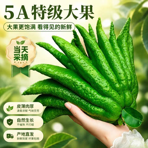 【5A品质】佛手柑大果清香型鲜果