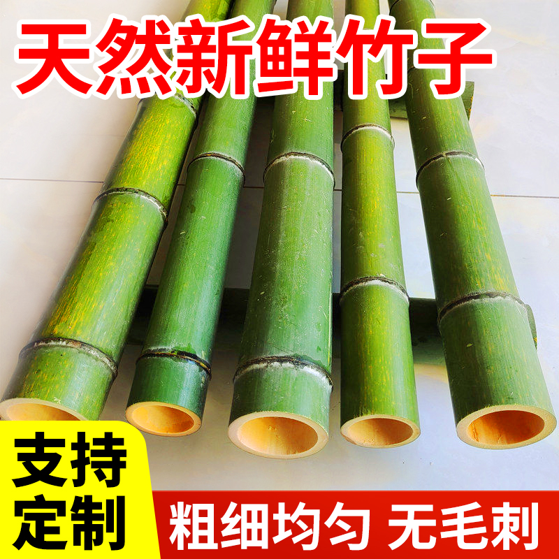 新鲜竹子竹筒天然青竹竿竹根竹排