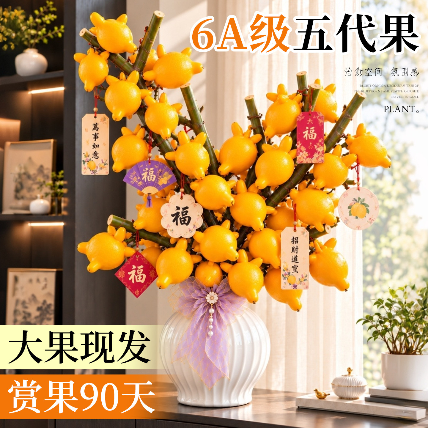 五代果黄金同堂果鲜切枝客厅室内插花观赏枝条果装饰云南直发花卉