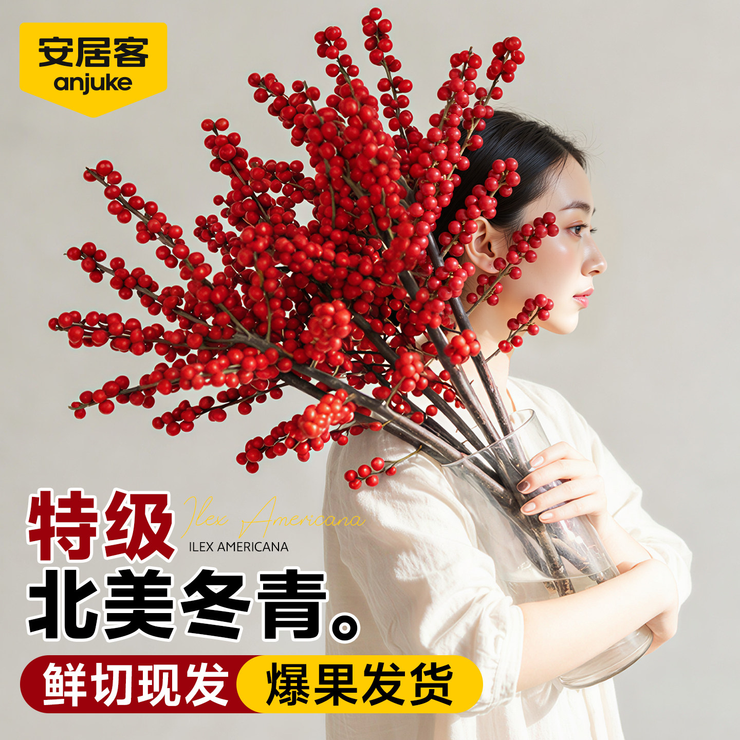 安居客北美冬青红果真花客厅鲜花水培绿植物年宵花卉新年鲜切花束,鲜花速递/花卉仿真/绿植园艺,绿植,淘宝优惠券,粉丝福利购,淘宝优惠卷